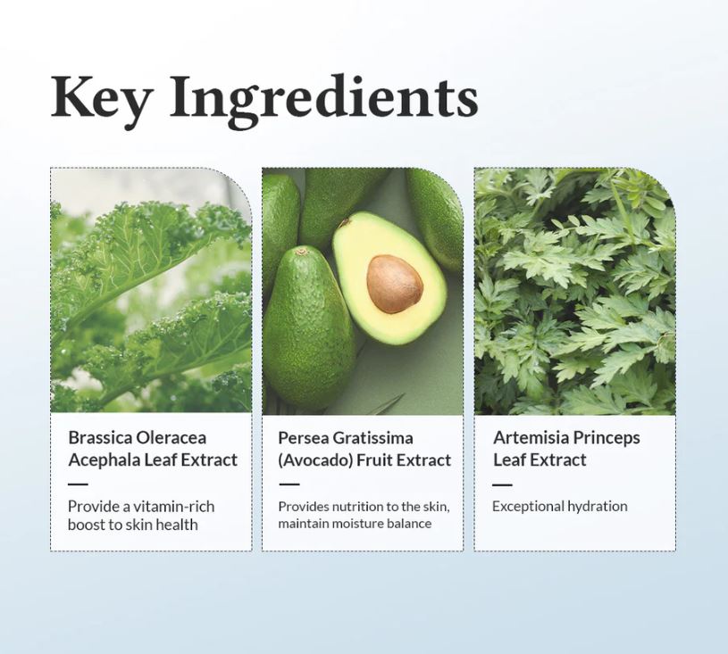 Dr.Althea 147 Barrier Cream - Key Ingredients | SunSkincare