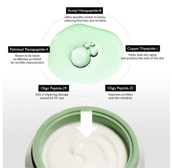 Haruharu Wonder Centella Phyto & 5 Peptide Concentrate Cream – Target Wrinkles for Mature Skin | SunSkincare