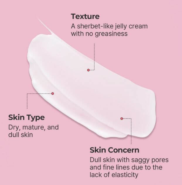 Torriden Cellmazing Firming Cream – For Dry, Mature, Dull Skin with Saggy Pores | SunSkincare