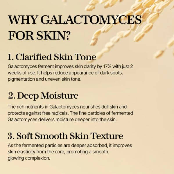 mixsoon Galactomyces Ferment Essence Canada – Skin Benefits | SunSkincare