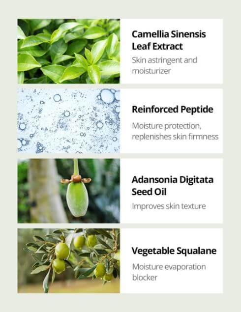 Bonajour Green Tea Water Bomb Cream – Anti-aging Moisturizer | Bonajour in Canada | SunSkincare