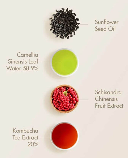 Dr.Ceuracle Canada| Dr.Ceuracle Vegan Kombucha Tea Essence – Detox & restore the health of sensitive skin | SunSkincare