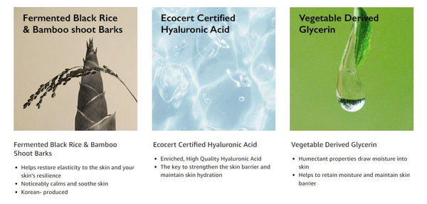 Haruharu Black Rice Toner – Antioxidants packed, clean ingredients | Haruharu Wonder | SunSkincare