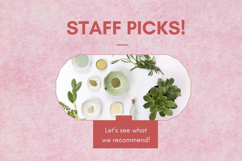 STAFF PICKS FOR THIS WINTER
