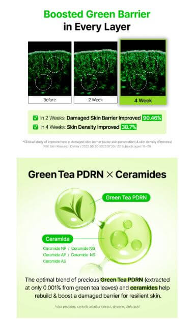 By Wishtrend Green Tea & Ceramide Barrier Cream – Key Ingredients & Benefits | SunSkincare