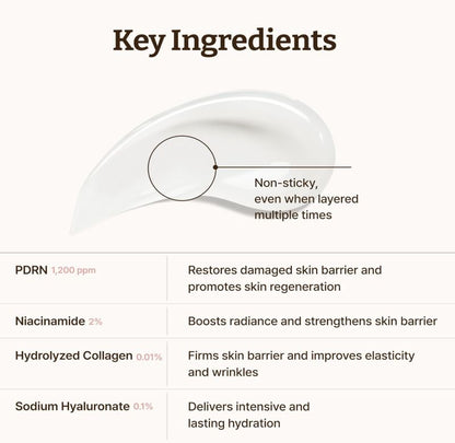 Dr.Reju-All Advanced PDRN Rejuvenating Cream – Key Ingredients & Benefits | SunSkincare