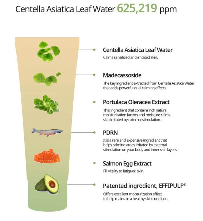 HEVEBLUE Salmon Caring Centella Cream Canada – Key Ingredients: Centella & Salmon PDRN | SunSkincare