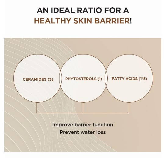 SKIN1004 Centella Probio-Cica Intensive Ampoule – Ceramide, Phytosterols, Fatty Acids for Healthy Barrier | SunSkincare