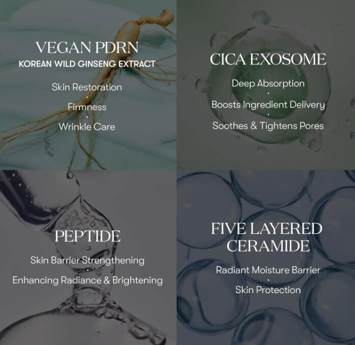 VT PDRN R5 Firming Ampoule – Key Ingredients & Benefits | SunSkincare