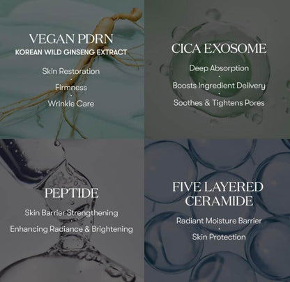 VT PDRN R5 Firming Ampoule – Key Ingredients & Benefits | SunSkincare