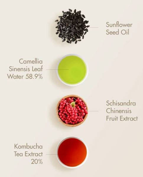 Dr.Ceuracle Canada| Dr.Ceuracle Vegan Kombucha Tea Essence – Detox & restore the health of sensitive skin | SunSkincare