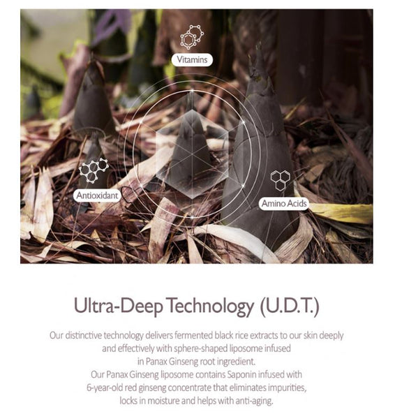 Haruharu Wonder Black Rice Toner w Ultra Deep Technology | Haruharu Wonder Canada | SunSkincare