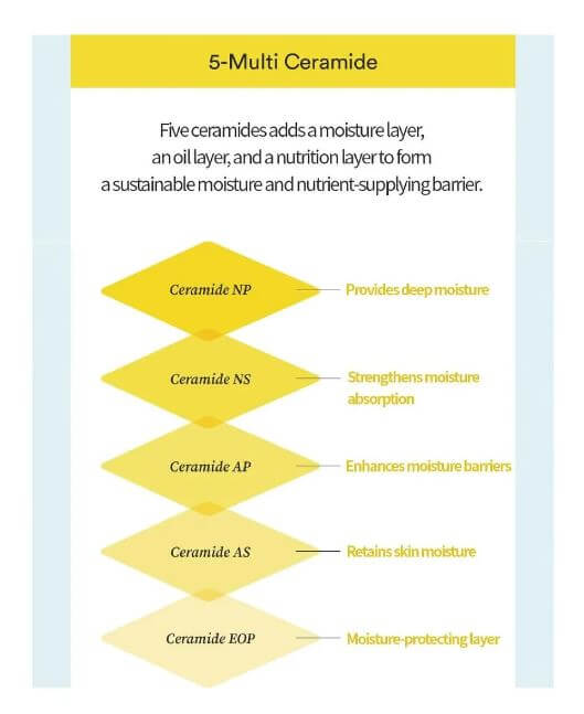TOCOBO Multi Ceramide Cream – 5 Multi-Ceramide | TOCOBO Canada | SunSkincare