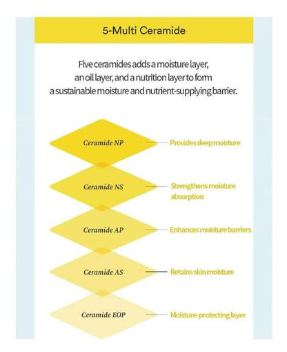 TOCOBO Multi Ceramide Cream – 5 Multi-Ceramide | TOCOBO Canada | SunSkincare